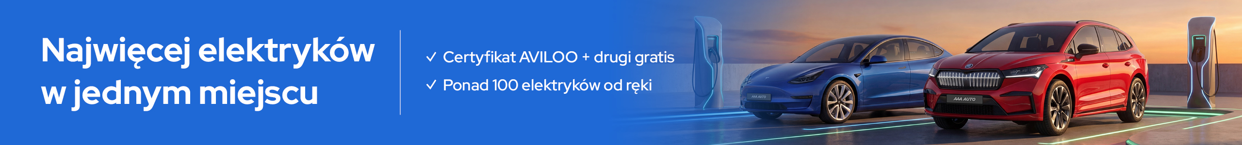 Najwięcej elektryków w jednym miejscu