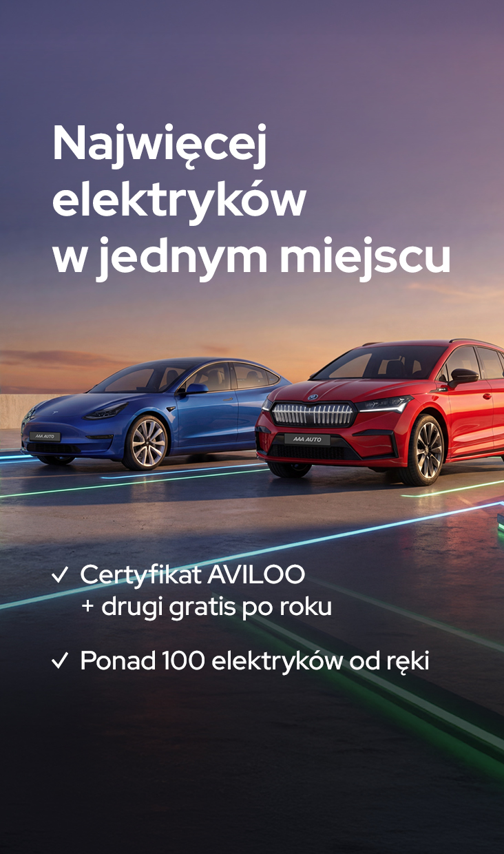 Najwięcej elektryków w jednym miejscu