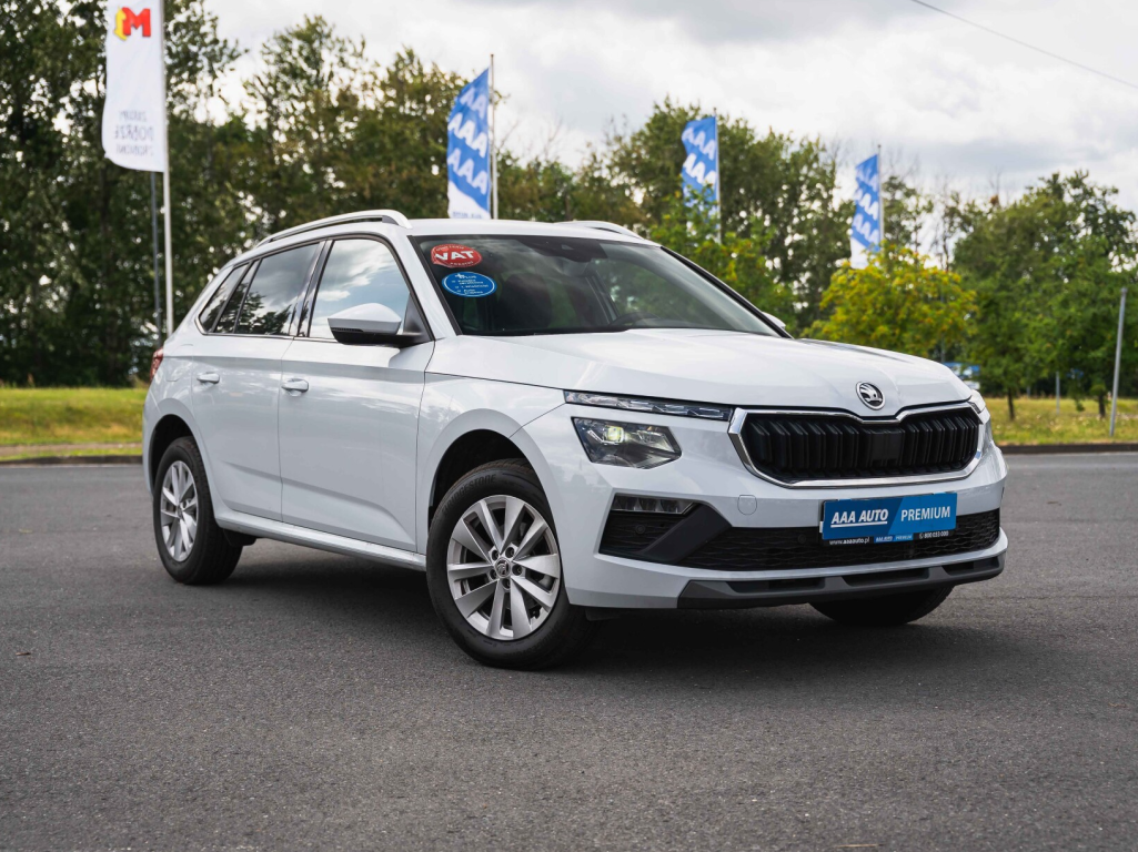 Škoda Kamiq, 2024