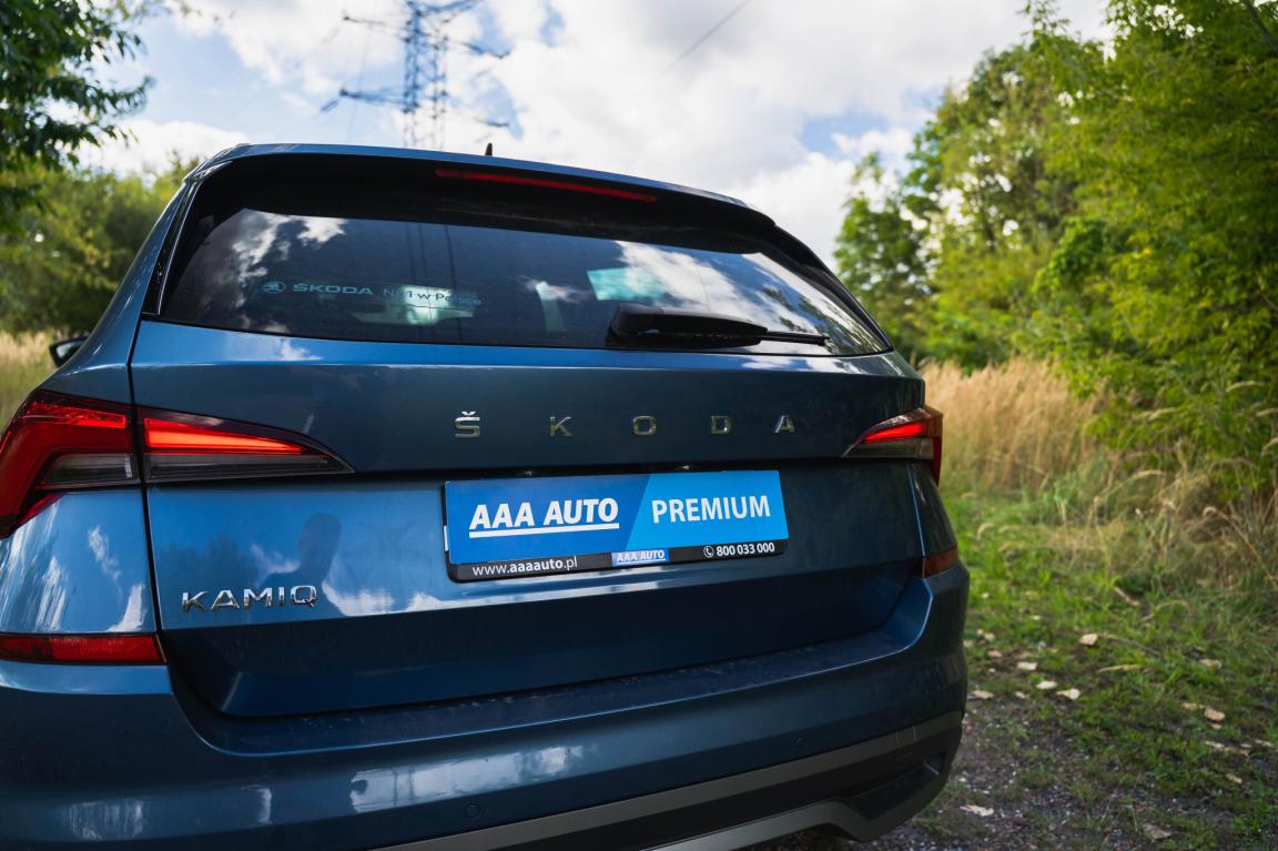 Škoda Kamiq, 2020