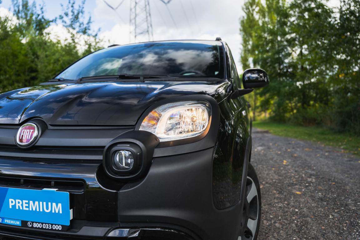 Fiat Panda, 2024