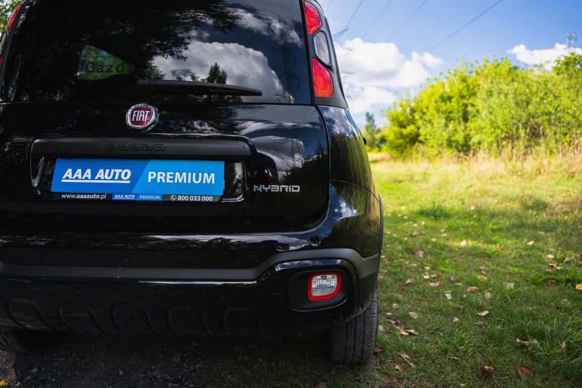 Fiat Panda, 2024
