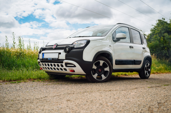 Fiat Panda 1.0 FireFly