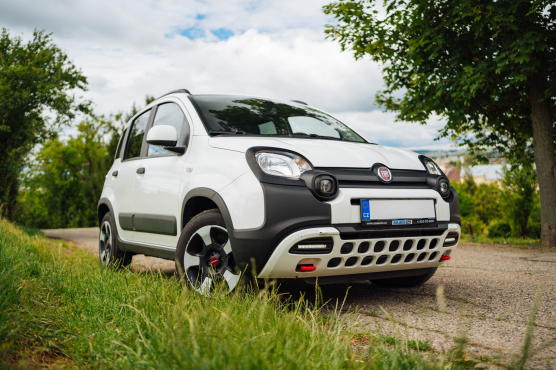 Fiat Panda 1.0 FireFly