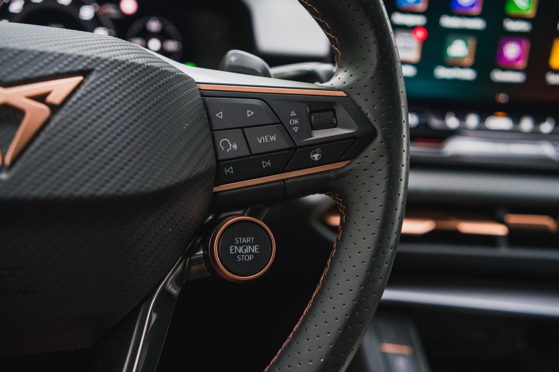 Cupra Terramar, 2025