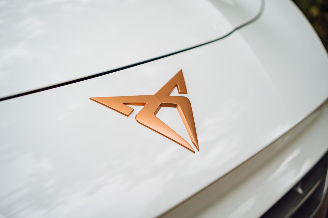 Cupra Terramar, 2025